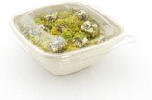 Vierkante saladebowl ongebleekt suikerriet 500 ml hoog | Inhoud: 500 stuks