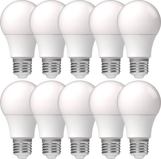 Proventa LongLife LED Lampen met grote E27 fitting - Voordeelverpakking - 10 x LED lamp
