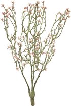 (Best) Mini ster bloemenstruik roze 44cm