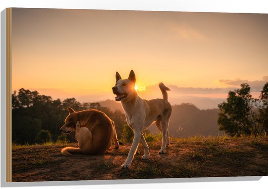 Hout - Twee Zwerfhonden Lopend op Bergtop - 90x60 cm - 9 mm dik - Foto op Hout (Met Ophangsysteem)