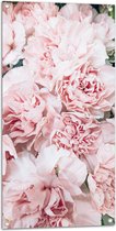 Tuinposter – Roze - Bloemen - Natuur - 50x100 cm Foto op Tuinposter (wanddecoratie voor buiten en binnen)