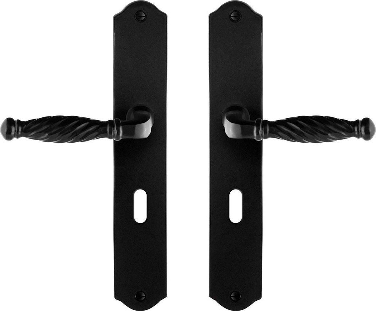Deurkruk op schild - Smeedijzer zwart - Gietijzer - GPF - GPF6225.60 smeedijzer zwarte Deurklink Tuli op BB56, 238x41x4mm