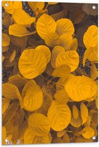 Tuinposter – Planten - Bladeren - Geel - 60x80 cm Foto op Tuinposter (wanddecoratie voor buiten en binnen)