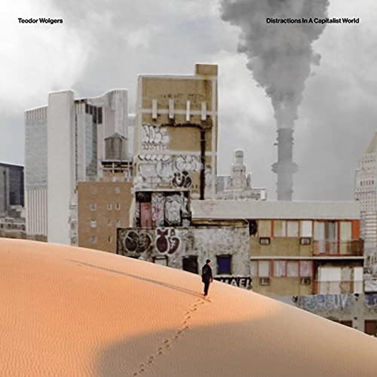 Teodor Wolgers - Distractions In A Capitalist World (LP)