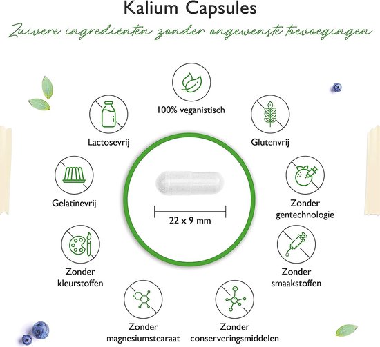 Kalium - 240 capsules - Hoog gedoseerd: 1143 mg per capsule, waarvan 400 mg elementair kalium - 100% kaliumcitraat - Veganistisch - Vit4ever - Vit4ever