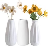 Set van 3 keramische vazen ​​witte vazen ​​decoratief porselein mini bloemenvaas tafelvaas voor pampas grasbloemen gedroogde bloemen moderne vazen ​​voor tafeldecoratie geschenk tulpenvaas keuken kantoor woonkamer 12 cm