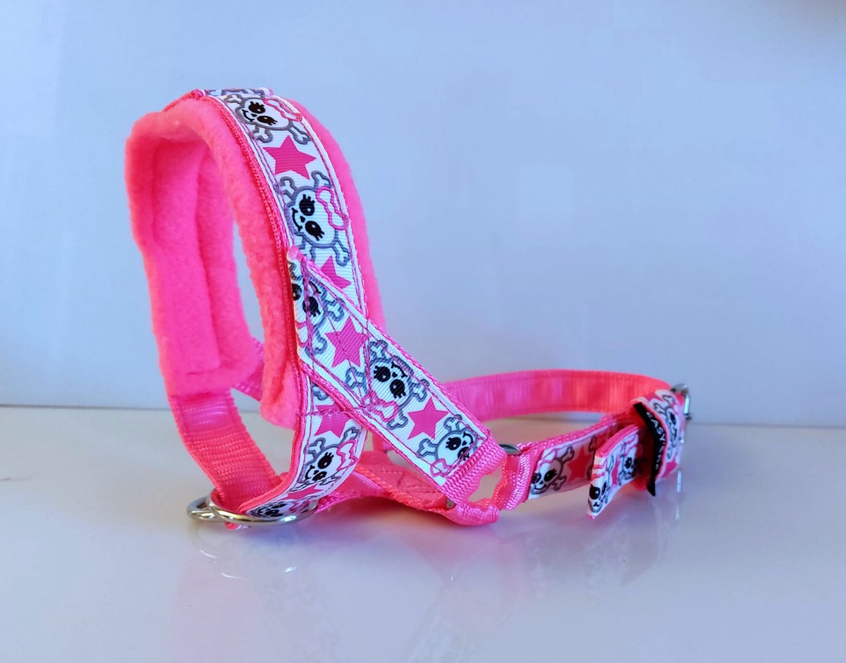 Doux leader tête de mort rose fluo doublé tête de chien licol antitraction
