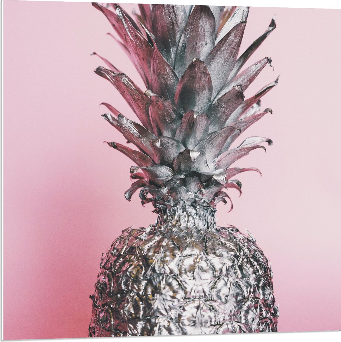 PVC Schuimplaat- Zilveren Ananas met Roze Achtergrond - 80x80 cm Foto op PVC Schuimplaat