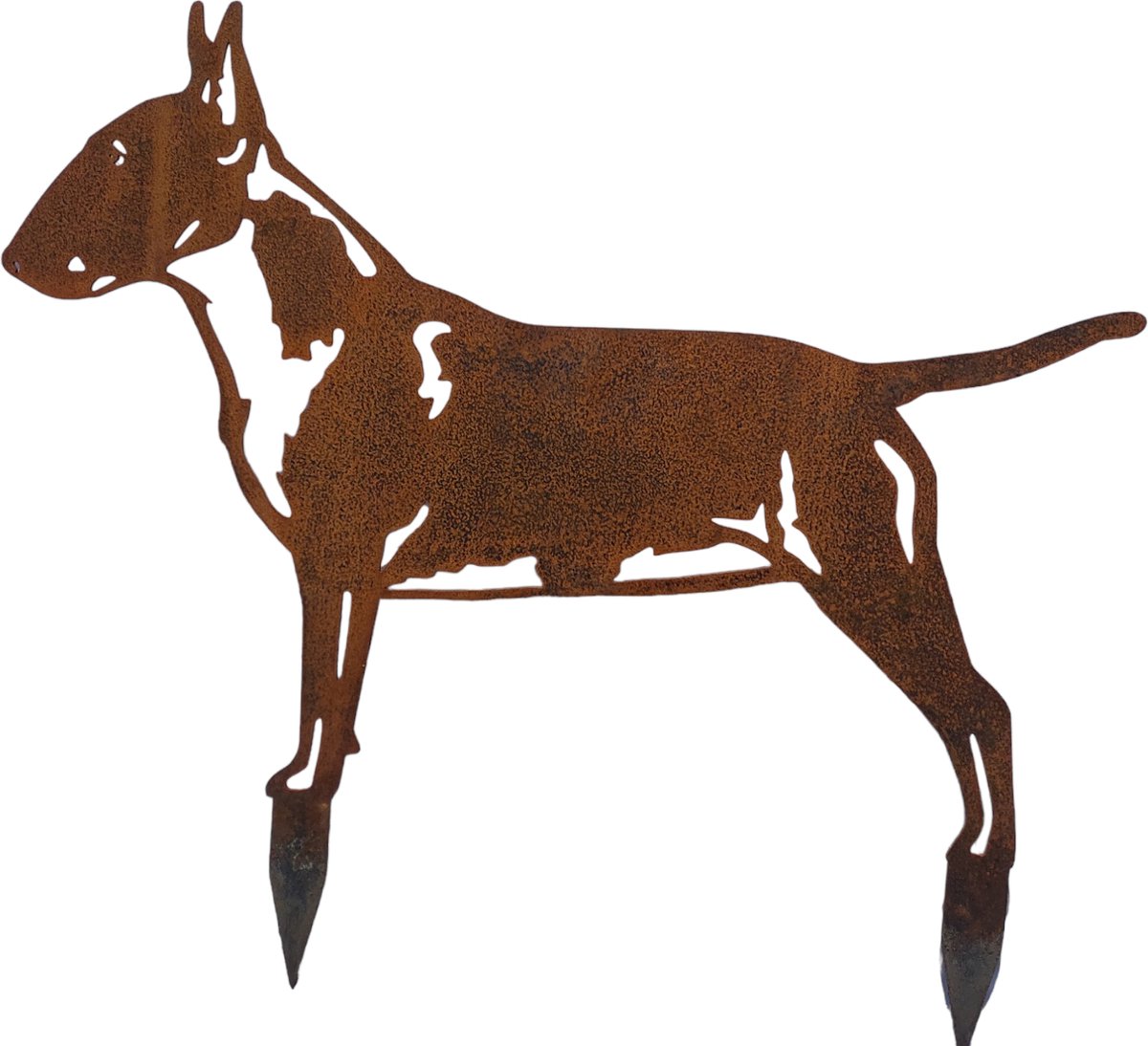 bull terrier - tuinbeeld - cortenstaal - NL Fabrikaat - 58x78 cm