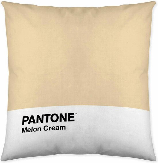 VOID Inheems patroon Kussenhoes polyester waterproof Outdoor Indoor