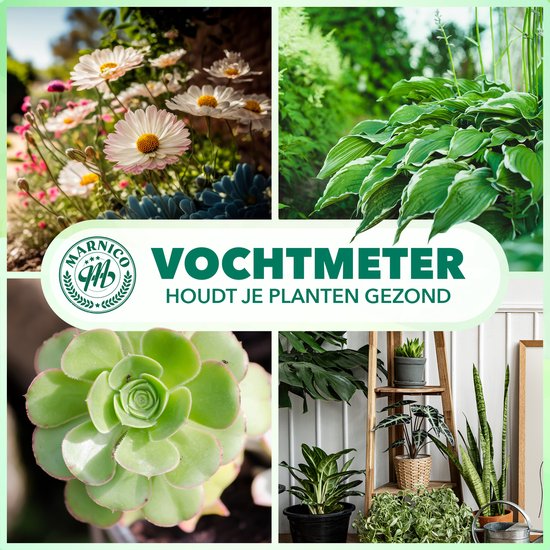 Collage van planten en de "VOCHT METER". Bevat madeliefjes, hosta's, succulenta en kamerplanten op een rek.