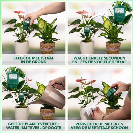 Stapsgewijze illustratie van hoe de vochtmeter te gebruiken: in de grond steken, wachten, water geven, en schoonmaken.