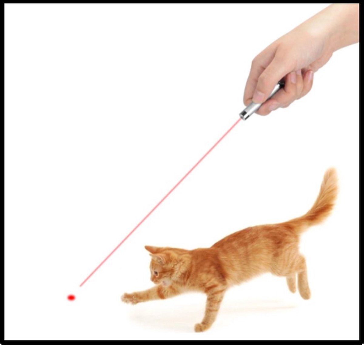 EPIN | Kat Laserlampje | Kattenspeelgoed | Laserlamp | Mini zaklamp| Sleutelhanger - Merkloos