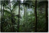 Muurdecoratie Regenwoud - Tropisch - Jungle - Bomen - Planten - 180x120 cm - Tuinposter - Tuindoek - Buitenposter