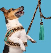 DWAM Dog with a Mission Dog Leash – Riem pour chiens – Imprimé animal – Cuir – S – 200 x 1 cm – Extra Long Amsterdam