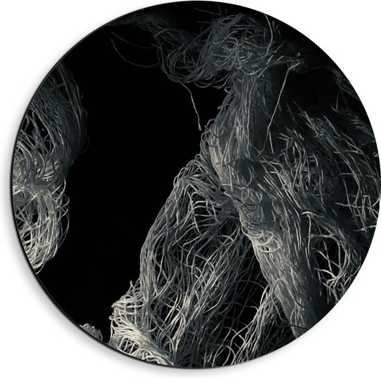 Dibond Muurcirkel - Witte Draden en Stammen tegen Zwarte Achtergrond - 40x40 cm Foto op Aluminium Muurcirkel (met ophangsysteem)
