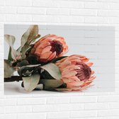 Muursticker - Bloemen - Liggen - Bladeren - Kleuren - 105x70 cm Foto op Muursticker