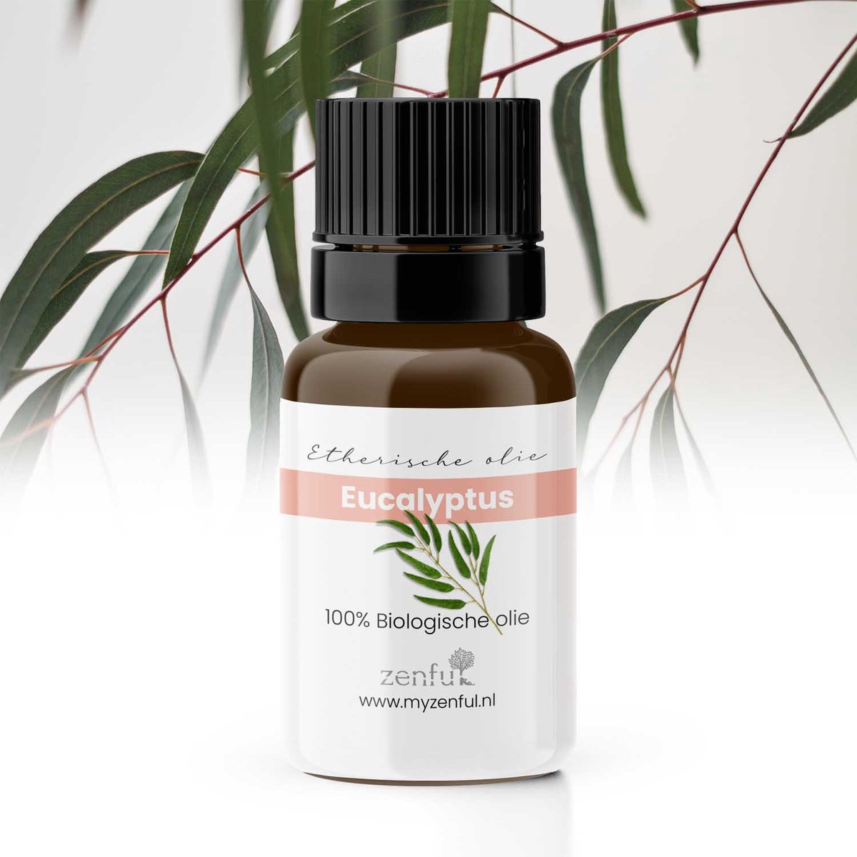 Goedkoopste Eucalyptusolie - Biologisch - Etherische olie - Puur - 10 ml