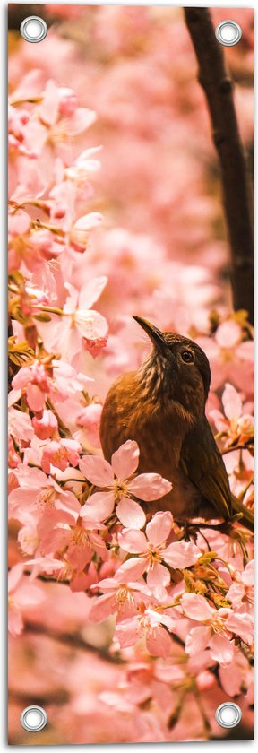 Tuinposter – Bloemen - Dieren - Vogel - Kleuren - 20x60 cm Foto op Tuinposter (wanddecoratie voor buiten en binnen)