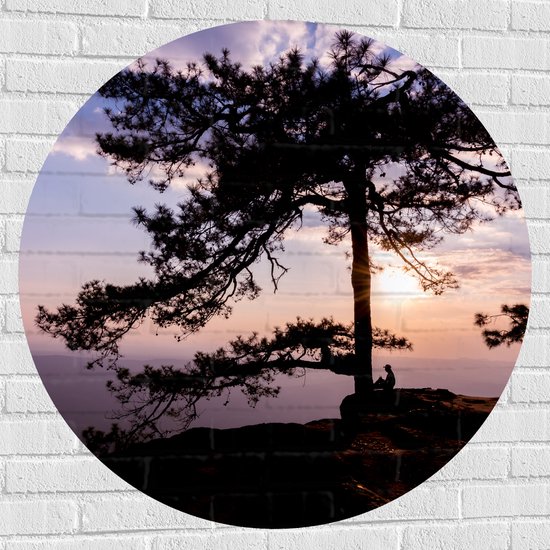 Muursticker Cirkel - Boom met Paarse Zonsondergang - 100x100 cm Foto op Muursticker