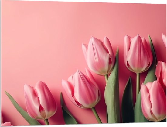 Acrylglas - Roze Tulpen met Roze Achtergrond - 100x75 cm Foto op Acrylglas (Met Ophangsysteem)