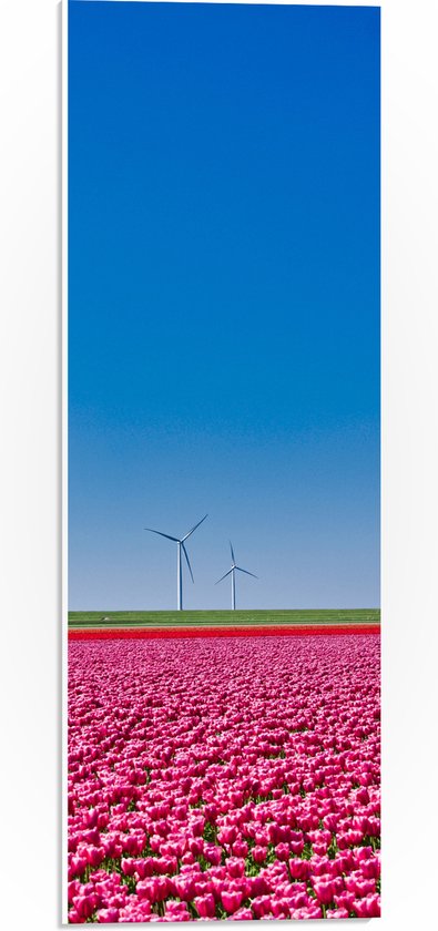 PVC Schuimplaat- Bloemen - Bloemenveld - Tulpen - Landschap - Windmolens - Nederland - Kleuren - 20x60 cm Foto op PVC Schuimplaat