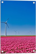 Tuinposter – Bloemen - Bloemenveld - Tulpen - Landschap - Windmolens - Nederland - Kleuren - 40x60 cm Foto op Tuinposter (wanddecoratie voor buiten en binnen)
