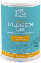 Mattisson - Runder Collageen Poeder Peptan® Blend - Vanille smaak - 300 g