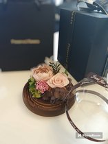 Onsterfelijke Roos in Glas – Geconserveerde Verse Echte Roos - meerdere kleuren - Moederdag - Vaderdag – cadeautje – Valentijn cadeautje – Huwelijk – Roos in Glas – Decoratief