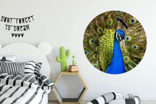 Cercle mural animaux - Paon - Plumes de paon - Vert - Blauw - Cercle mural intérieur - Décoration chambre - Tableaux ronds - Décoration murale ronde - 150x150 cm - Salon
