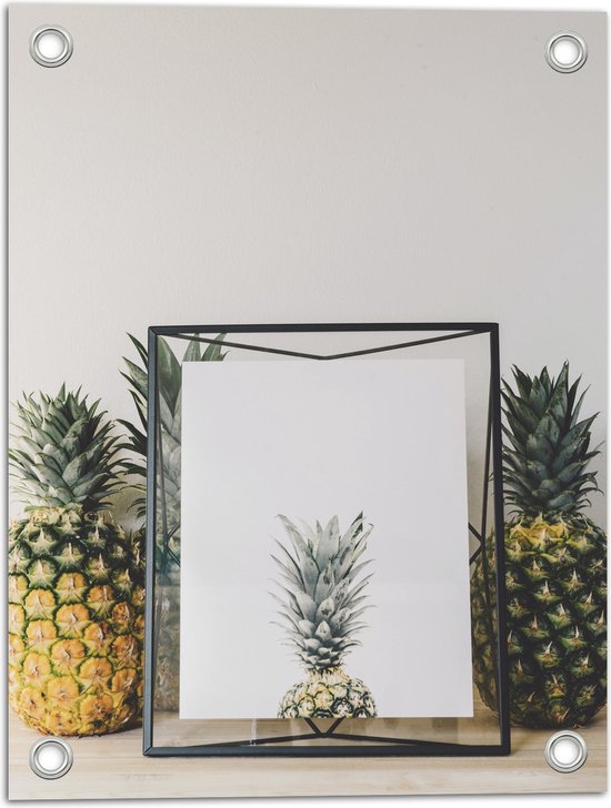 Tuinposter – Lijst met Ananas en Ananassen ernaast - 30x40 cm Foto op Tuinposter (wanddecoratie voor buiten en binnen)
