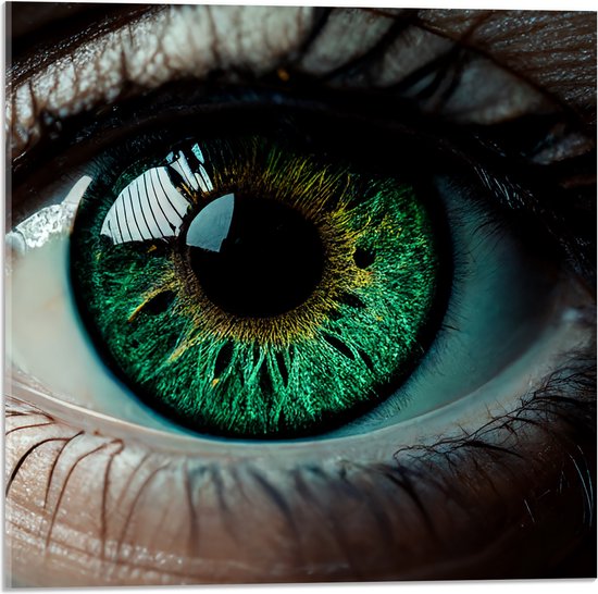 Acrylglas - Close-up van Prachtig Groenkleurig Oog van Vrouw - 50x50 cm Foto op Acrylglas (Met Ophangsysteem)