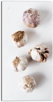 Dibond - Knoflookbolletjes Verspreid op Witte Achtergrond - 50x100 cm Foto op Aluminium (Wanddecoratie van metaal)