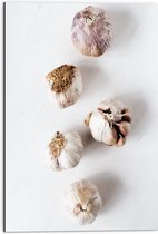 Dibond - Knoflookbolletjes Verspreid op Witte Achtergrond - 50x75 cm Foto op Aluminium (Wanddecoratie van metaal)