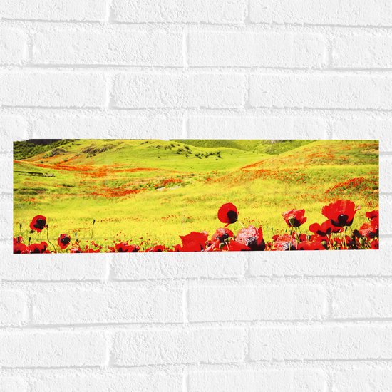 Muursticker - Groep Rode Bloemen in Heuvellandschap - 60x20 cm Foto op Muursticker