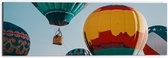 Dibond - Man in Mandje onder Kleurrijke Luchtballon omringd door Luchtballonnen - 60x20 cm Foto op Aluminium (Wanddecoratie van metaal)