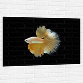 Muursticker - Zijaanzicht van Goud- Gele Vis met Sierlijke Vinnen - 120x80 cm Foto op Muursticker