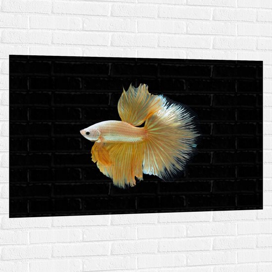 Muursticker - Zijaanzicht van Goud- Gele Vis met Sierlijke Vinnen - 120x80 cm Foto op Muursticker