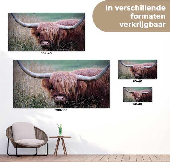 Tuinposter 80x40 cm - Tuindecoratie Schotse Hooglander - Hoorns - Gras - Poster voor in de tuin - Buiten decoratie - Schutting tuinschilderij - Tuindoek muurdecoratie - Wanddecoratie balkondoek