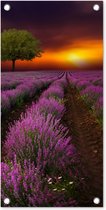 Tuinposter Prachtig lavendelveld op een donkere avond met zonsondergang - 30x60 cm - Tuindoek - Buitenposter