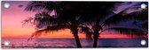 Tuinposter – Twee Palmbomen op het Strand langs de Zee bij Zonsondergang - 60x20 cm Foto op Tuinposter (wanddecoratie voor buiten en binnen)