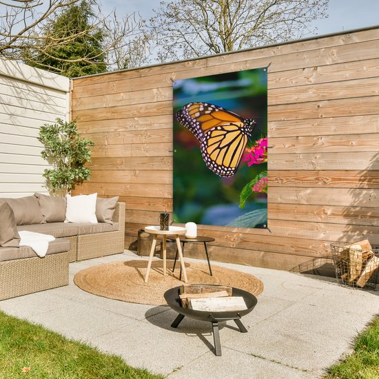 Affiche de jardin - Papillons - Fleurs - Rose - Flora - Décoration de jardin - 80x120 cm - Toile jardin - Tableau jardin