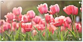 Tuinposter - Tulpen - Tuin - Bloemen - Lente - 80x40 cm - Tuinschilderij - Muurdecoratie - Wanddecoratie - Tuindoek - Buitenposter