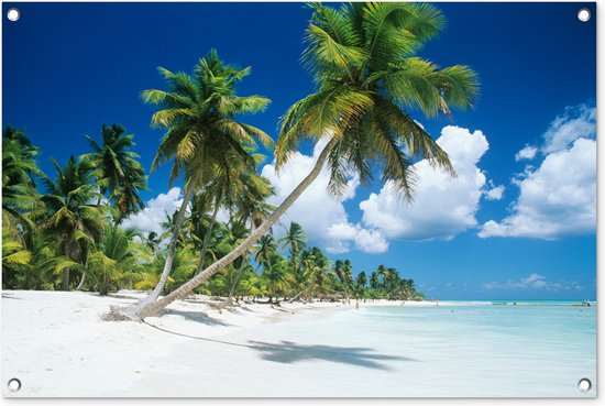 Tuinposters buiten Strand - Palmboom - Tropisch - 90x60 cm - Tuindoek - Buitenposter