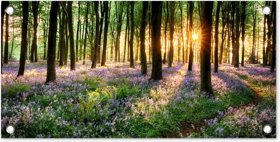 Foto: Tuinposter bos bloemen lavendel zon paars natuur 60x30 cm tuindoek buitenposter tuinposter bos bloemen lavendel zon paars natuur 60x30 cm