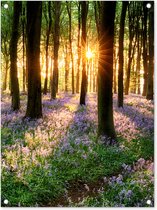 Tuinschilderij Bos - Bloemen - Lavendel - Zon - Paars - Natuur - 60x80 cm - Tuinposter - Tuindoek - Buitenposter