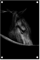 Tuindecoratie Paarden - Portret - Zwart - Dieren - 40x60 cm - Tuinposter - Tuindoek - Buitenposter