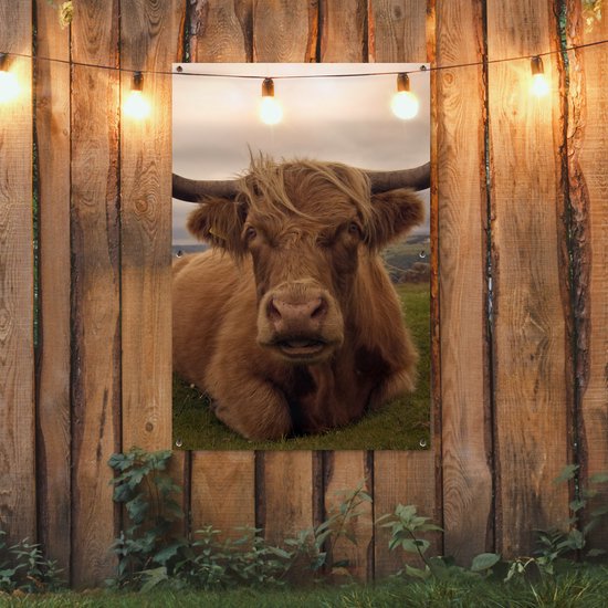 Affiche de jardin - Toile de jardin - Posters de jardin extérieures - Highlander écossais - Animaux - Berg - 80x120 cm - Jardin