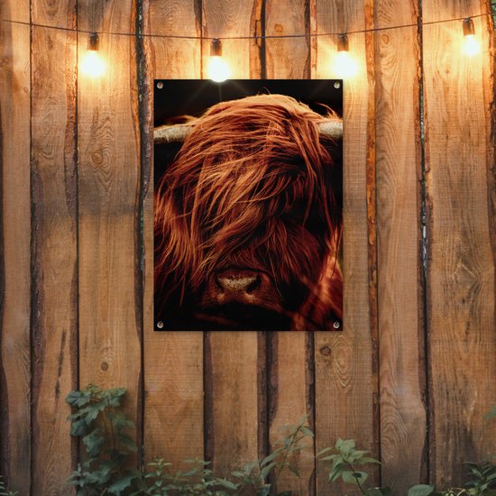 Tableau de jardin Scottish Highlander - Vache - Cornes - Portrait - Animaux - 60x80 cm - Affiche jardin - Toile jardin - Affiche extérieur