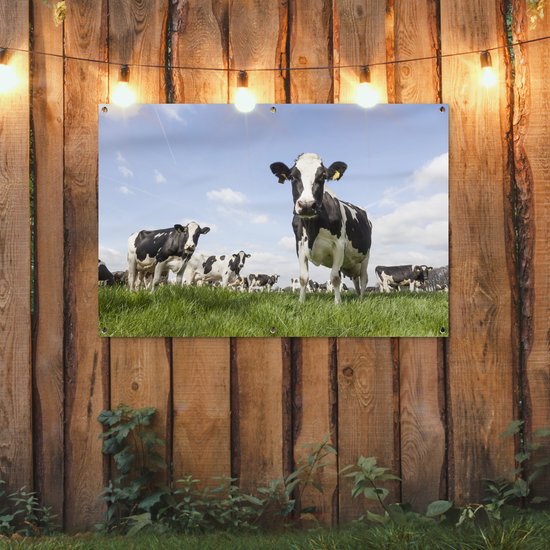 Tuinposter koeien - Tuindecoratie dieren - 120x80 cm - Tuindoek Friesland - Muurdecoratie voor buiten - Schuttingposter - Tuinschilderijen - Tuinwanddecoratie gras - Tuinposters